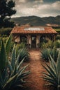 Rustic Mediterranean Cottage nestled amongst agave plants and rolling hills Royalty Free Stock Photo