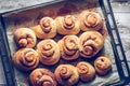 Rustic buns of sweet milk and cinnamon. Royalty Free Stock Photo