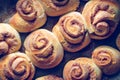 Rustic buns of sweet milk and cinnamon. Royalty Free Stock Photo