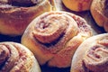 Rustic buns of sweet milk and cinnamon. Gastronomic concept Royalty Free Stock Photo