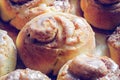 Rustic buns of sweet milk and cinnamon. Gastronomic concept Royalty Free Stock Photo