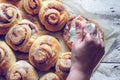 Rustic buns of sweet milk and cinnamon. Gastronomic concept Royalty Free Stock Photo