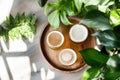 Rustic burger and beer setup with fresh greenery on wooden table Royalty Free Stock Photo