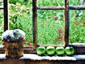 0000222_Rustic Cabin Windowsill with Apples and Planter_0019