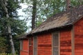 Rustic Cabin in Woods With Pine Needles on Roof