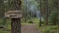Rustic Campground sign on tree in mossy forest arrow pointing down winding path Royalty Free Stock Photo