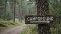 Rustic Campground sign on tree in mossy forest arrow pointing down winding path Royalty Free Stock Photo