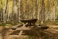 Rustic camping table in the middle of the forest