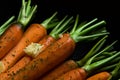 Rustic carrotts Royalty Free Stock Photo