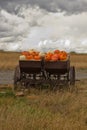 Rustic Cart full of fall Pumpkins Royalty Free Stock Photo