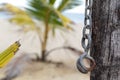 Rustic chain and wooden texture, empty Soft wood background Royalty Free Stock Photo