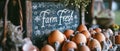 A Rustic Chalkboard Sign With The Words Farm Fresh Eggs Surrounded By A Basket Of Eggs In A Barn Set Royalty Free Stock Photo