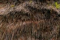 Rustic Charm: Close-Up of Hay Roof Texture on Old Village House Royalty Free Stock Photo