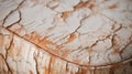 Rustic Charm: Close-up Of A Vintage Ottoman With Cracked Paint And Natural Grain