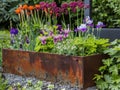 Rustic Charm: A May Garden Blooming with Dicentra, Geranium macrorrhizum, and Dwarf Irises in a Rais