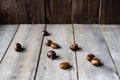 Rustic chestnuts on the wooden background