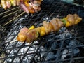 Rustic chicken kebabs Royalty Free Stock Photo