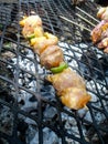 Rustic chicken kebabs Royalty Free Stock Photo
