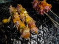 Rustic chicken kebabs Royalty Free Stock Photo