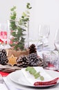 Rustic christmas centerpiece for dinner place setting Royalty Free Stock Photo