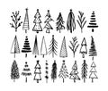 Rustic Christmas tree winter forest vector card hand drawn