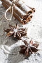 RUSTIC CINNAMON AND ANISE STILL LIFE ON SNOW COVERED BACKGROUND