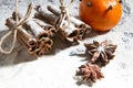 RUSTIC CINNAMON AND ANISE STILL LIFE ON SNOW COVERED BACKGROUND