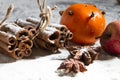 RUSTIC CINNAMON AND ANISE STILL LIFE ON SNOW COVERED BACKGROUND