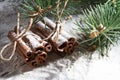 RUSTIC CINNAMON AND FIR BRANCH STILL LIFE ON SNOW COVERED BACKGROUND