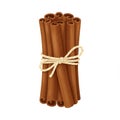 Rustic Cinnamon Sticks Bundle Tied with Jute Rope Isolated on White Royalty Free Stock Photo