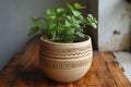 A rustic clay pot with a small plant or flower inside Royalty Free Stock Photo