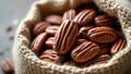 Rustic closeup of shelled pecans in a textured burlap sack against a softly blurred neutral background Royalty Free Stock Photo