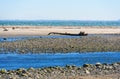 Rustic Coastal Landscape of the Malibu\'s Shoreline Royalty Free Stock Photo