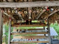 Rustic coffee bar along famous Valbona Theth trek in the Albanian Alps.