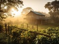 Rustic coffee farm