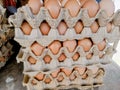 A rustic collection of fresh eggs with natural white and blue-green shells, arranged in a carton. Royalty Free Stock Photo