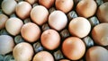 A rustic collection of fresh eggs with natural white and blue-green shells, arranged in a carton. Royalty Free Stock Photo
