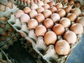 A rustic collection of fresh eggs with natural white and blue-green shells, arranged in a carton. Royalty Free Stock Photo