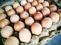 A rustic collection of fresh eggs with natural white and blue-green shells, arranged in a carton. Royalty Free Stock Photo