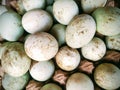 A rustic collection of fresh eggs with natural white and blue-green shells, arranged in a carton. Royalty Free Stock Photo