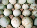 A rustic collection of fresh eggs with natural white and blue-green shells, arranged in a carton. Royalty Free Stock Photo