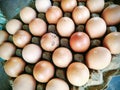 A rustic collection of fresh eggs with natural white and blue-green shells, arranged in a carton. Royalty Free Stock Photo