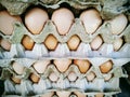 A rustic collection of fresh eggs with natural white and blue-green shells, arranged in a carton. Royalty Free Stock Photo