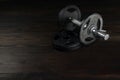 Dumbbell with weights on dark wooden floor