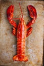 Rustic cooked lobster