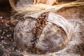 Rustic country bread Royalty Free Stock Photo