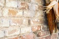 Rustic country theme. Detail of brik wall with corncobs