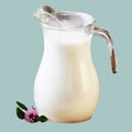 Rustic dairy products milk, jug, clover Royalty Free Stock Photo