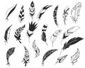 Rustic decorative feathers. Hand drawn vintage vector design set. Tribal Feathers. Ink illustration. Isolated on white Royalty Free Stock Photo