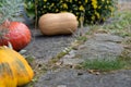 Rustic decorative gourd on stone footpath with yellow flower in background Royalty Free Stock Photo